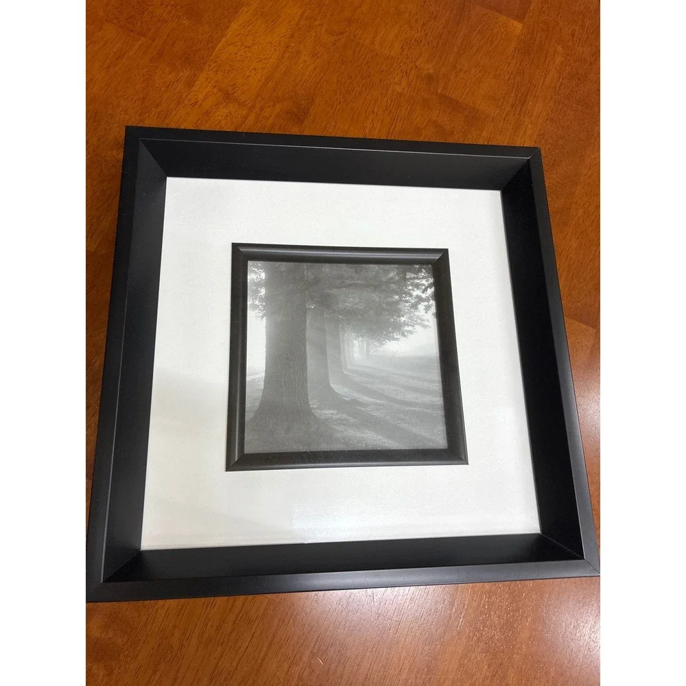Set of 3 Framed Landscape Tree Photos Awakening Riverview Misty Fog Wall Art